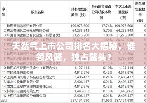 龙飞九五