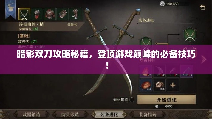 暗影双刀攻略秘籍，登顶游戏巅峰的必备技巧！