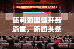慈利菊园盛开新篇章，新闻头条抢先看