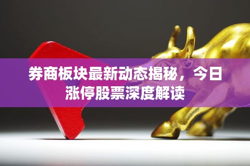 券商板块最新动态揭秘，今日涨停股票深度解读