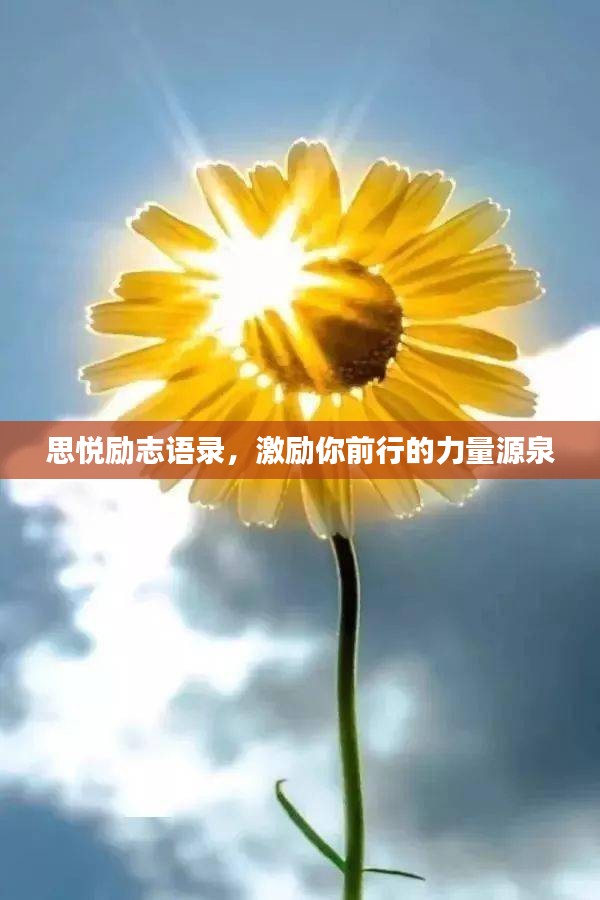 思悦励志语录，激励你前行的力量源泉