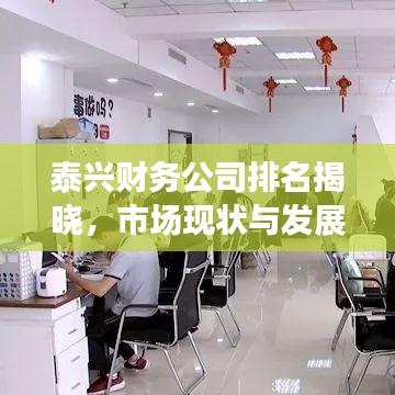 泰兴财务公司排名揭晓，市场现状与发展趋势深度解读