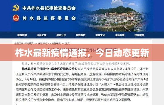 柞水最新疫情通报，今日动态更新