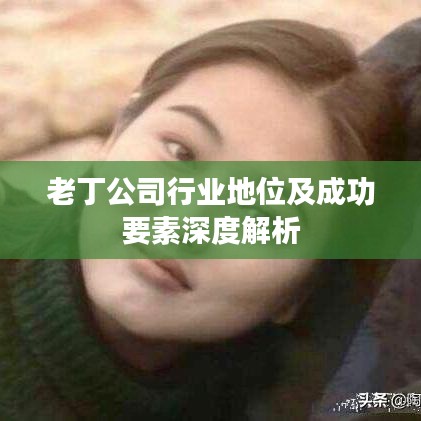 老丁公司行业地位及成功要素深度解析