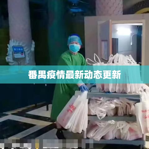 番禺疫情最新动态更新