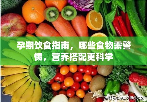 孕期饮食指南，哪些食物需警惕，营养搭配更科学