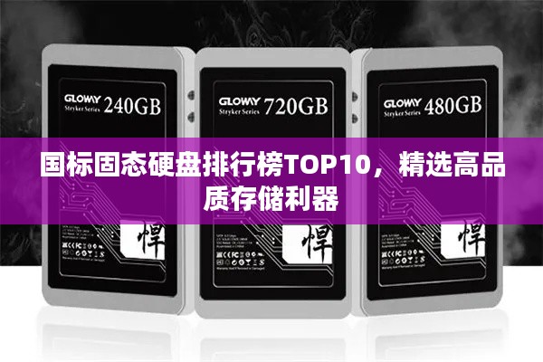 国标固态硬盘排行榜TOP10，精选高品质存储利器