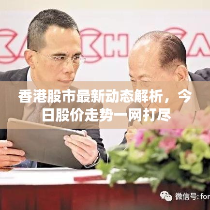 香港股市最新动态解析，今日股价走势一网打尽