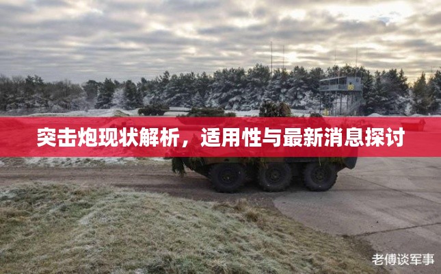 突击炮现状解析，适用性与最新消息探讨