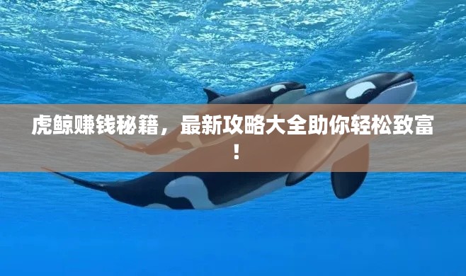 虎鲸赚钱秘籍，最新攻略大全助你轻松致富！