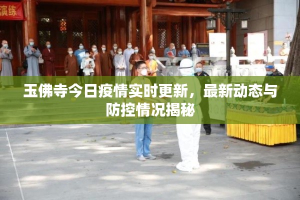 玉佛寺今日疫情实时更新，最新动态与防控情况揭秘