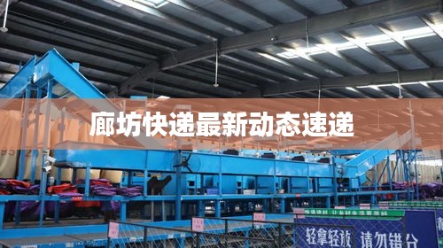廊坊快递最新动态速递