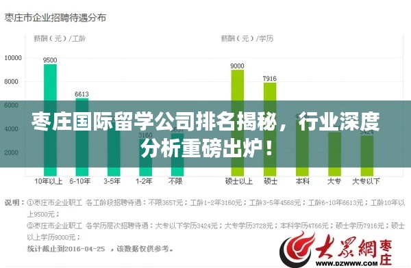 枣庄国际留学公司排名揭秘，行业深度分析重磅出炉！