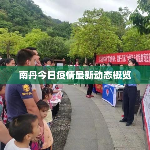 南丹今日疫情最新动态概览