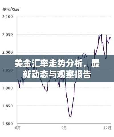 美金汇率走势分析，最新动态与观察报告