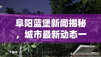 明眸皓齿 第2页