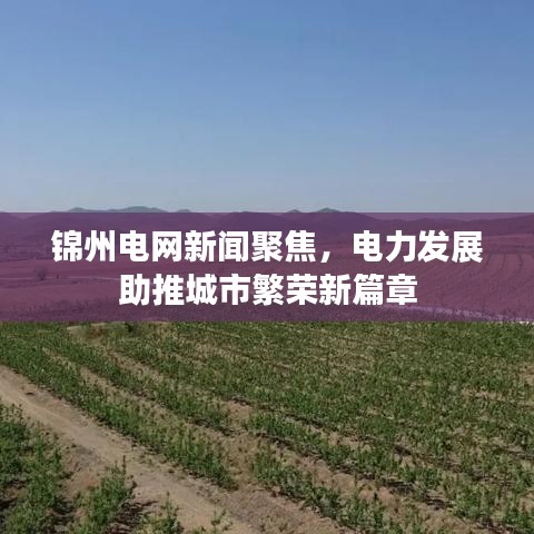 锦州电网新闻聚焦，电力发展助推城市繁荣新篇章