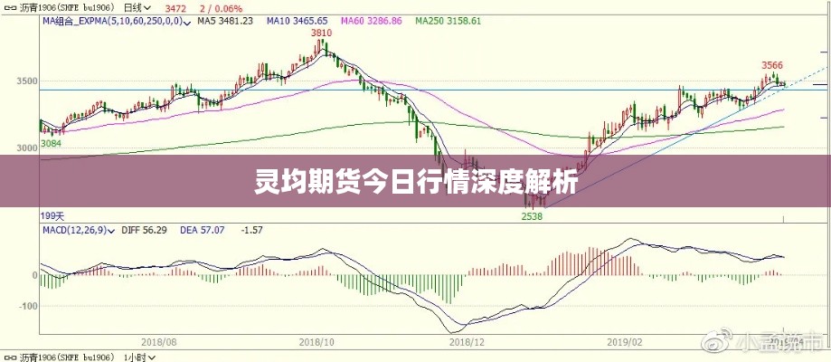 灵均期货今日行情深度解析