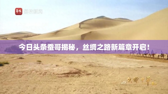 今日头条蚕哥揭秘，丝绸之路新篇章开启！