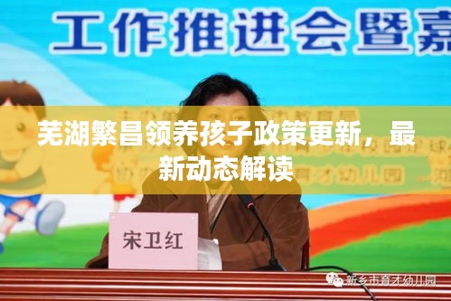 芜湖繁昌领养孩子政策更新，最新动态解读