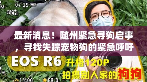 最新消息！随州紧急寻狗启事，寻找失踪宠物狗的紧急呼吁！