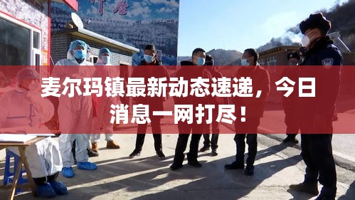 麦尔玛镇最新动态速递，今日消息一网打尽！