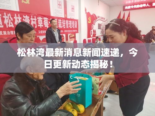 松林湾最新消息新闻速递，今日更新动态揭秘！