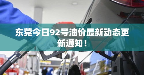 东莞今日92号油价最新动态更新通知！