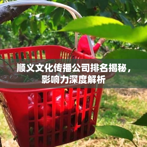 顺义文化传播公司排名揭秘，影响力深度解析