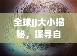 全球JJ大小揭秘，探寻自然界的神秘奇迹