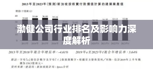 渤健公司行业排名及影响力深度解析