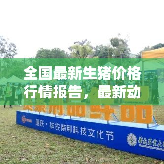 全国最新生猪价格行情报告，最新动态一网打尽