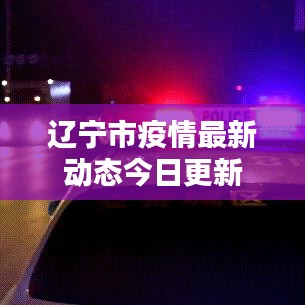 辽宁市疫情最新动态今日更新