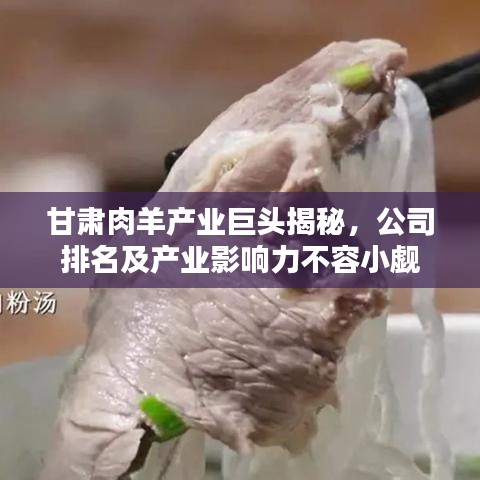 甘肃肉羊产业巨头揭秘，公司排名及产业影响力不容小觑