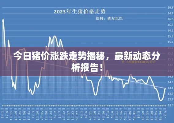今日猪价涨跌走势揭秘，最新动态分析报告！