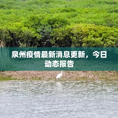 泉州疫情最新消息更新，今日动态报告
