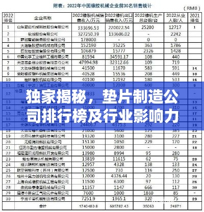 独家揭秘，垫片制造公司排行榜及行业影响力分析
