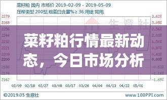 菜籽粕行情最新动态，今日市场分析揭秘