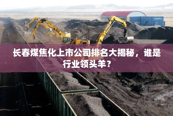 长春煤焦化上市公司排名大揭秘，谁是行业领头羊？