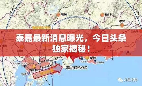泰嘉最新消息曝光，今日头条独家揭秘！