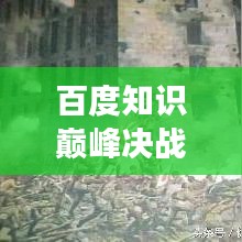 百度知识巅峰决战，探索未知领域，尽展智慧风采