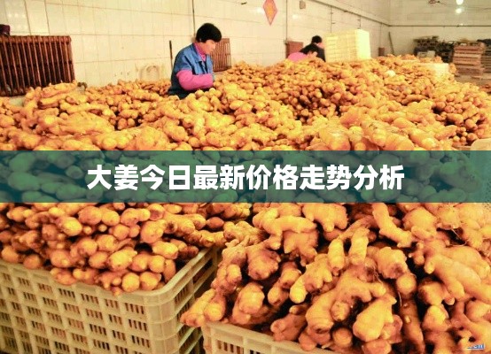 张弓挟矢 第2页