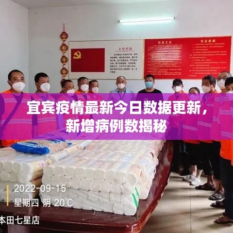 宜宾疫情最新今日数据更新，新增病例数揭秘
