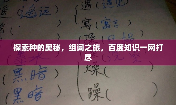 探索种的奥秘，组词之旅，百度知识一网打尽