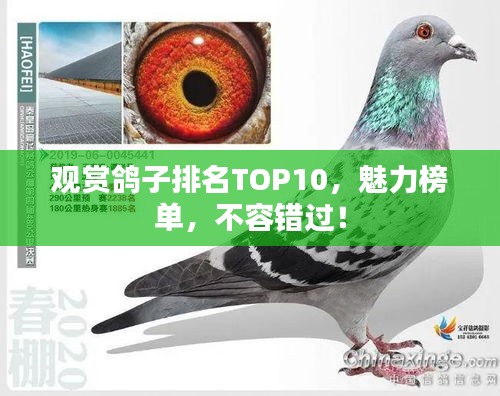 艰苦朴素