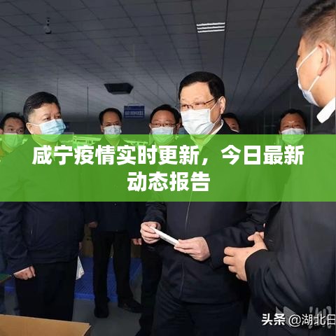 咸宁疫情实时更新，今日最新动态报告