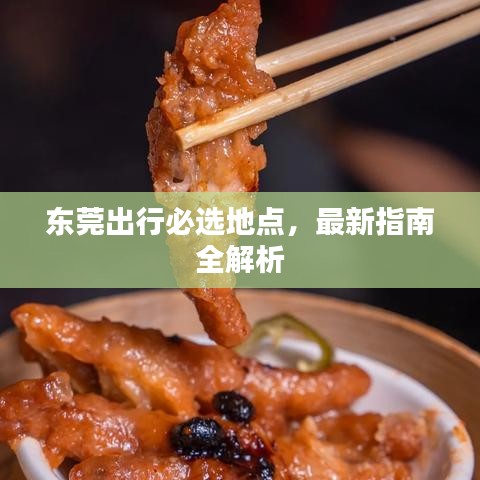 东莞出行必选地点，最新指南全解析