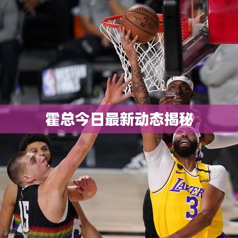 霍总今日最新动态揭秘
