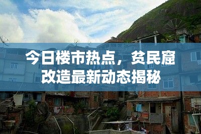 今日楼市热点，贫民窟改造最新动态揭秘