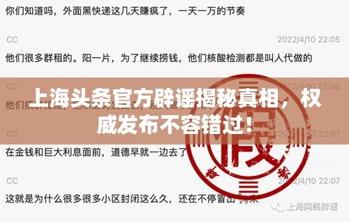 上海头条官方辟谣揭秘真相，权威发布不容错过！